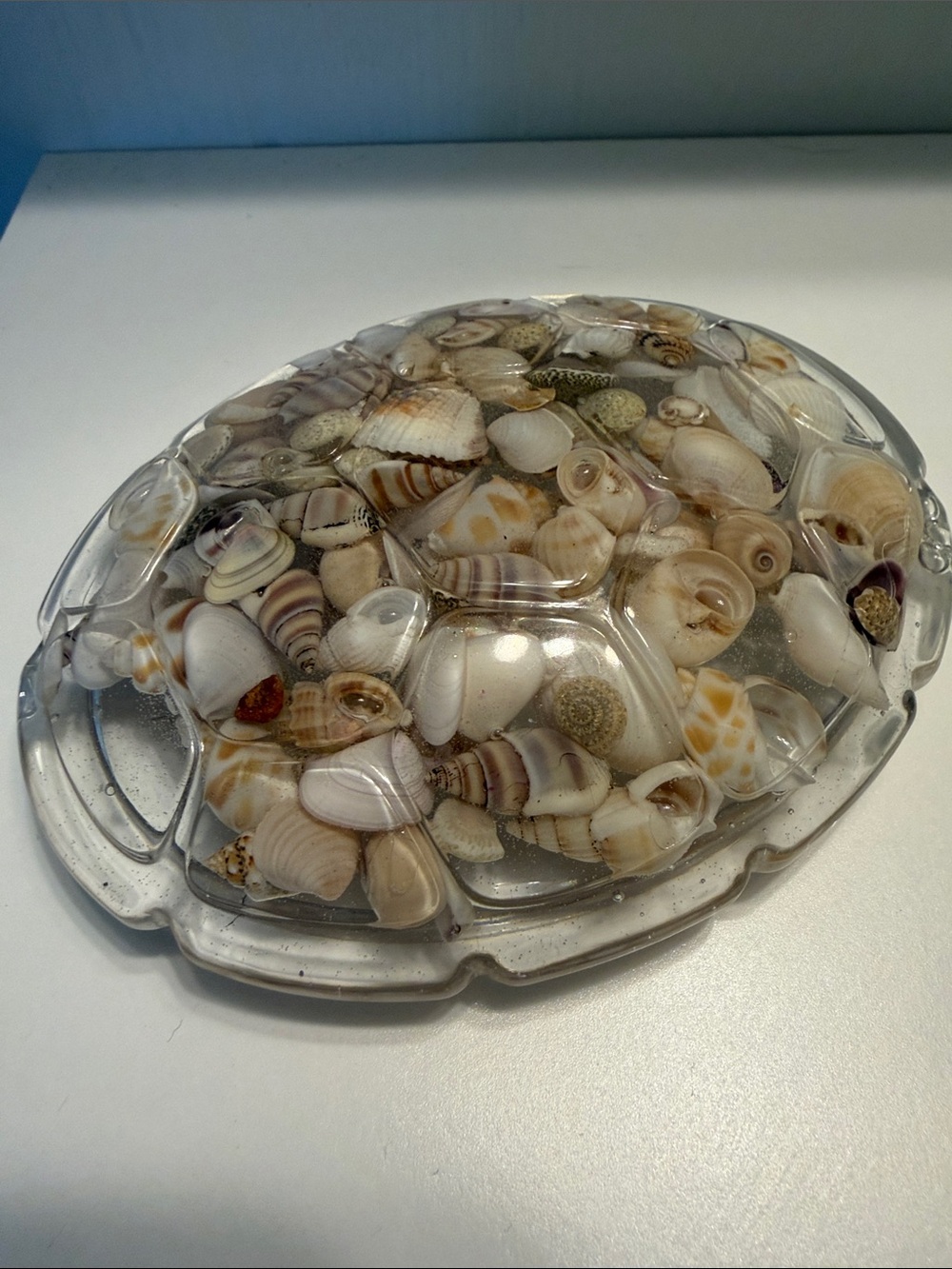 Handmade Resin Coastal Sea Turtle  with Embedded Shells - Green - Picture 3 of 3